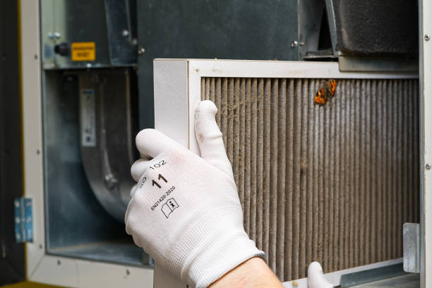 Best Local Air Duct Cleaning Services  in Northport, NY